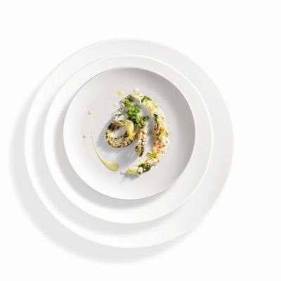 Green Curry Octopus