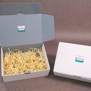 White Gift Box