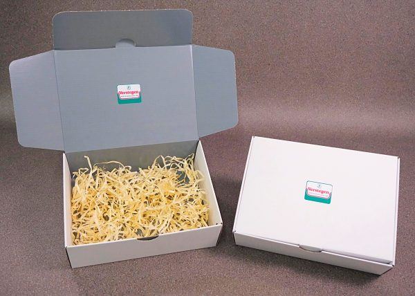 White Gift Box